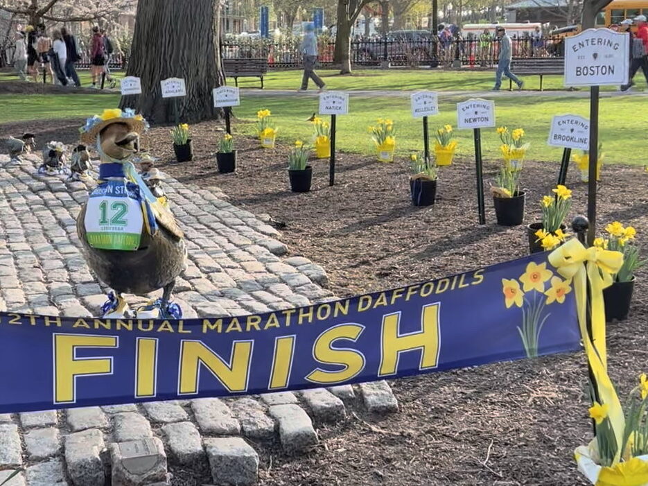 Boston Common ducks dressed for the Boston Marathon